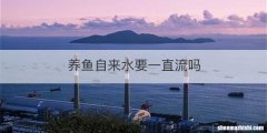 养鱼自来水要一直流吗