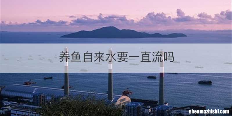 养鱼自来水要一直流吗