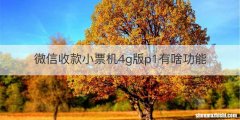 微信收款小票机4g版p1有啥功能