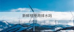 新鲜桔梗用焯水吗