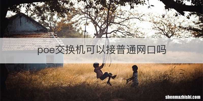 poe交换机可以接普通网口吗