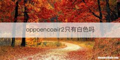 oppoencoair2只有白色吗