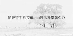 帕萨特手机控车app显示异常怎么办