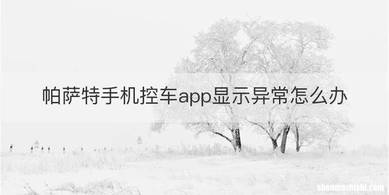 帕萨特手机控车app显示异常怎么办
