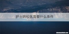 护士转校医需要什么条件