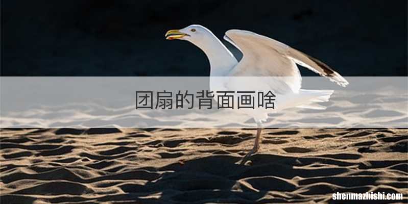 团扇的背面画啥