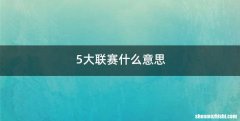 5大联赛什么意思