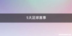5大足球赛事