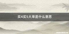 买4买5大单是什么意思