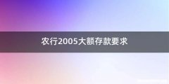 农行2005大额存款要求