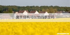 魔芋烧鸭可以加四季豆吗