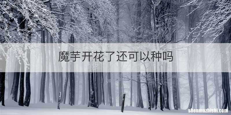 魔芋开花了还可以种吗