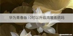 华为青春版10可以升级鸿蒙系统吗