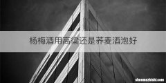 杨梅酒用高粱还是荞麦酒泡好