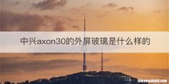 中兴axon30的外屏玻璃是什么样的