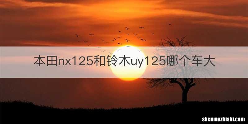 本田nx125和铃木uy125哪个车大