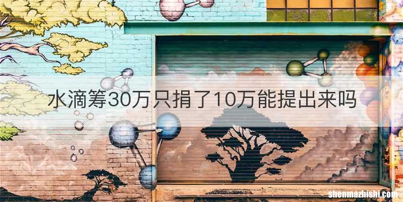 水滴筹30万只捐了10万能提出来吗