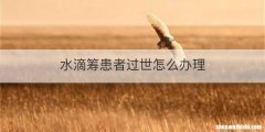 水滴筹患者过世怎么办理