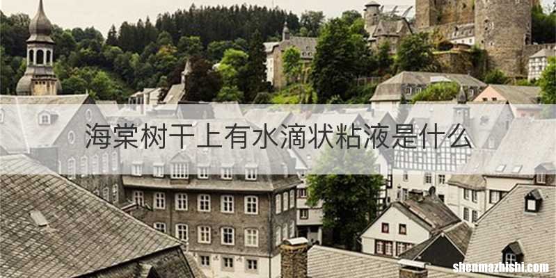 海棠树干上有水滴状粘液是什么