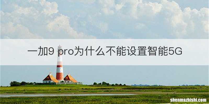 一加9 pro为什么不能设置智能5G