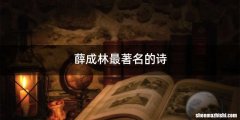 薛成林最著名的诗