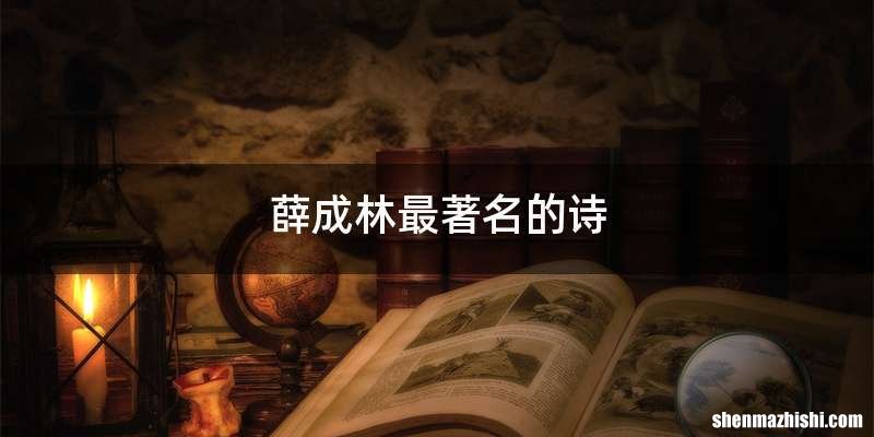 薛成林最著名的诗