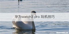 华为watch3 pro 玩机技巧