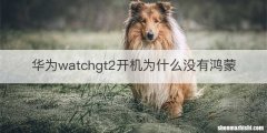 华为watchgt2开机为什么没有鸿蒙