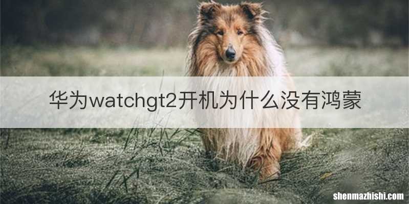华为watchgt2开机为什么没有鸿蒙