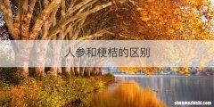 人参和梗桔的区别