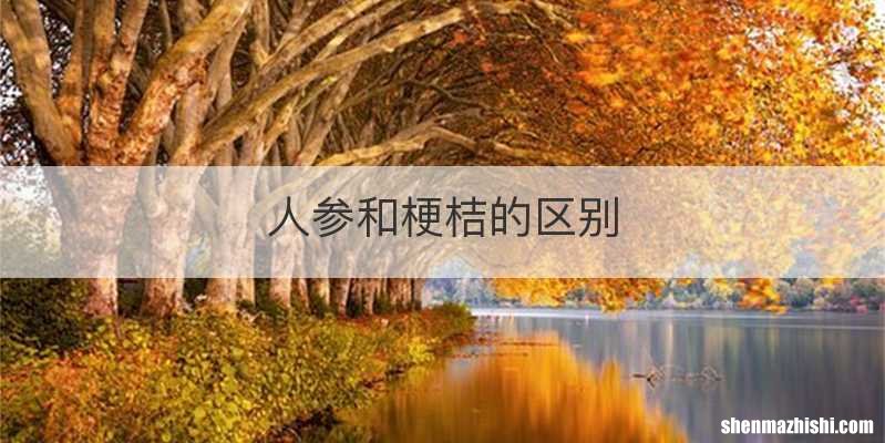 人参和梗桔的区别