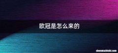 欧冠是怎么来的