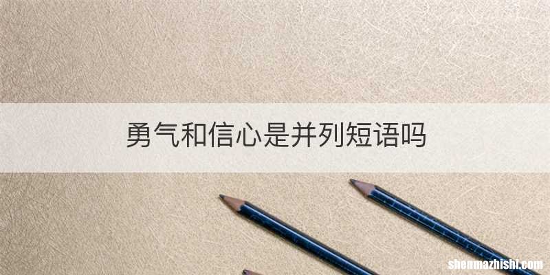 勇气和信心是并列短语吗