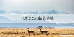 ct片怎么扫描到手机