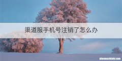 渠道服手机号注销了怎么办