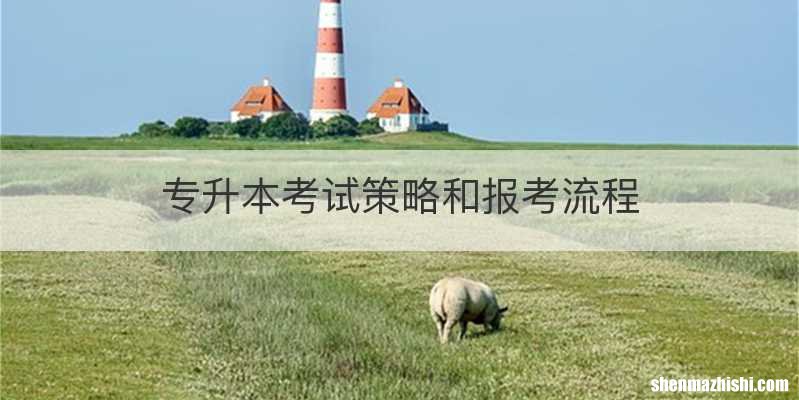 专升本考试策略和报考流程