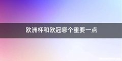 欧洲杯和欧冠哪个重要一点