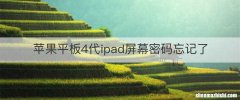 苹果平板4代ipad屏幕密码忘记了