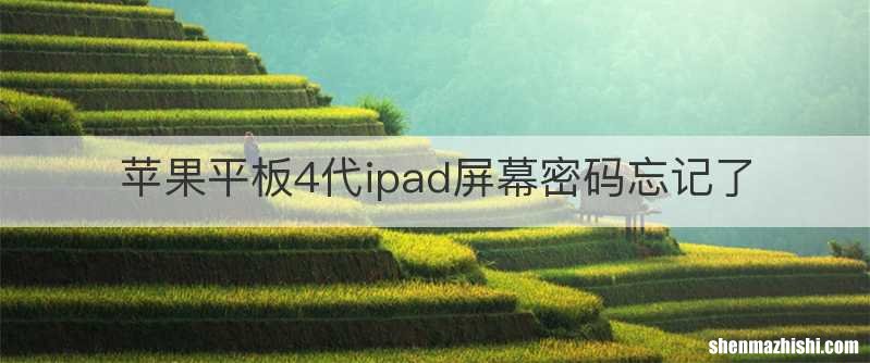 苹果平板4代ipad屏幕密码忘记了