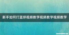 新手如何打篮球视频教学视频教学视频教学