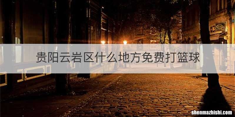 贵阳云岩区什么地方免费打篮球