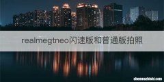 realmegtneo闪速版和普通版拍照
