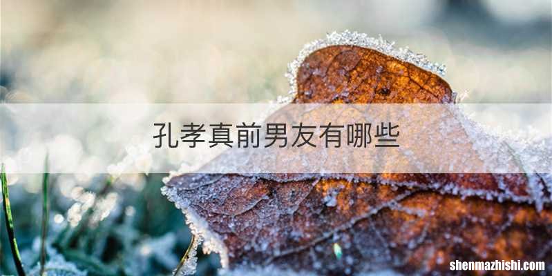 孔孝真前男友有哪些