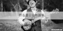 什么是公众号派单