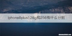 iphone8plus128g和256有什么分别