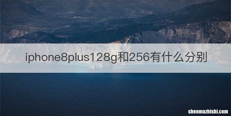 iphone8plus128g和256有什么分别