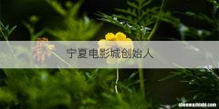 宁夏电影城创始人