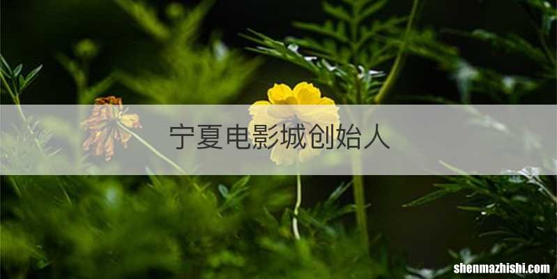宁夏电影城创始人