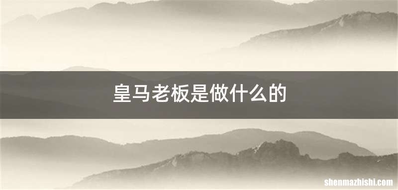 皇马老板是做什么的