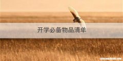 开学必备物品清单
